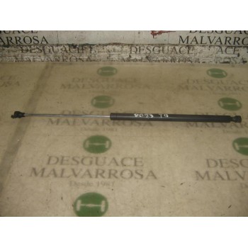 AMORTIGUADORES MALETERO / PORTON 