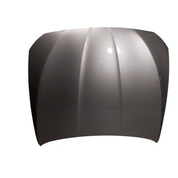 CAPOT DELANTERO 41617207194 