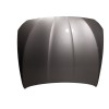 Recambio de capot delantero para bmw 5 (f10) 520 d referencia OEM IAM 41617207194  
