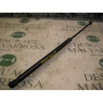 AMORTIGUADORES MALETERO / PORTON 