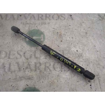 AMORTIGUADORES MALETERO / PORTON 