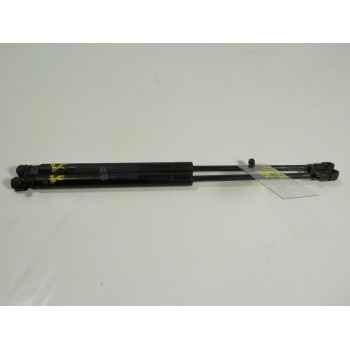 AMORTIGUADOR CAPOT 50519970 50519970 
