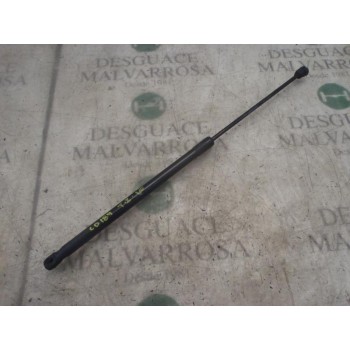 AMORTIGUADORES MALETERO / PORTON 