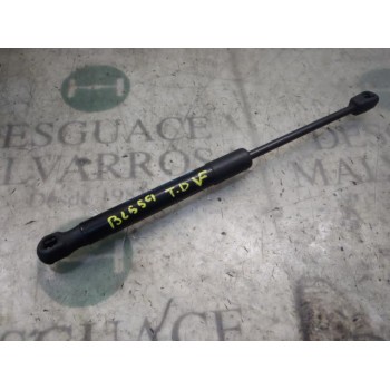 AMORTIGUADORES MALETERO / PORTON 