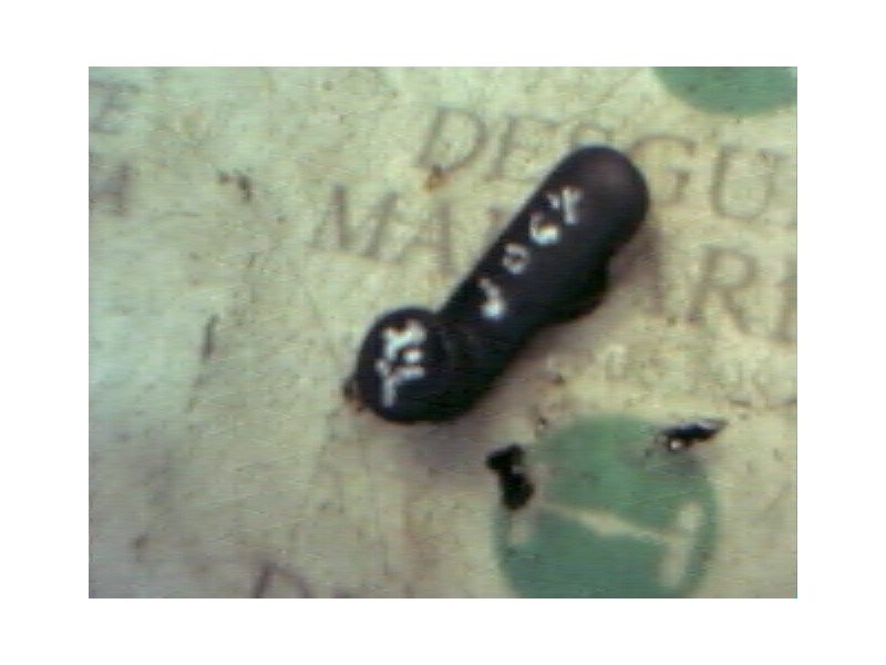 Recambio de maneta elevalunas trasera izquierda para opel vectra b berlina cd referencia OEM IAM   