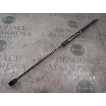 AMORTIGUADORES MALETERO / PORTON 