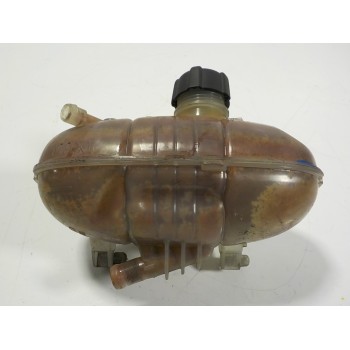 DEPOSITO EXPANSION 6000617241 217101893R 