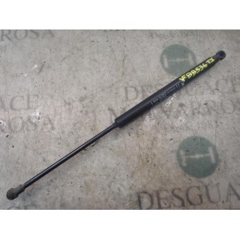 AMORTIGUADORES MALETERO / PORTON 