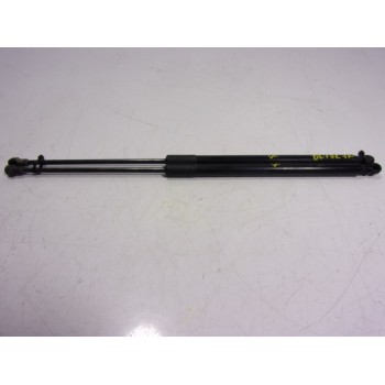 AMORTIGUADORES MALETERO / PORTON 9813913880 9813913880 