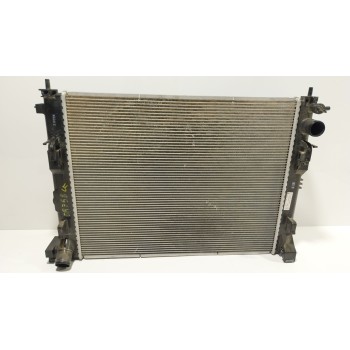 RADIADOR AGUA 214107838R 