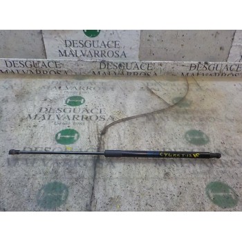 AMORTIGUADORES MALETERO / PORTON 9813913880 