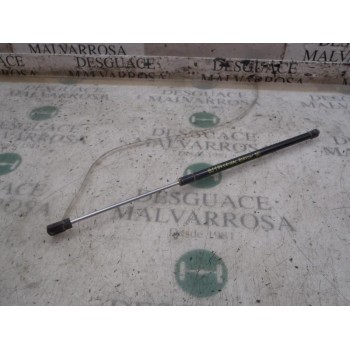 AMORTIGUADORES MALETERO / PORTON 15093449 