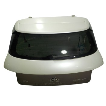 PORTON TRASERO 9800805380 