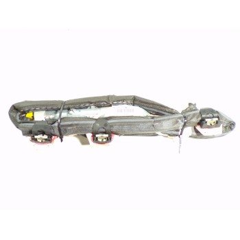 AIRBAG CORTINA DELANTERO DERECHO 2071594 C1BB14B389AB 
