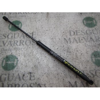 AMORTIGUADORES MALETERO / PORTON 51812267 