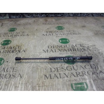 AMORTIGUADORES MALETERO / PORTON 