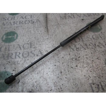 AMORTIGUADORES MALETERO / PORTON 