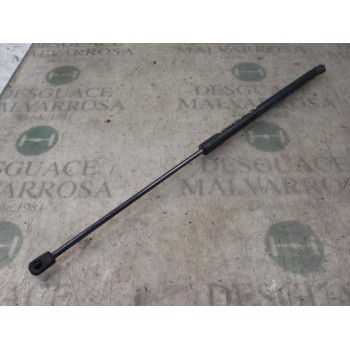 AMORTIGUADORES MALETERO / PORTON 