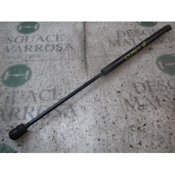 AMORTIGUADORES MALETERO / PORTON 