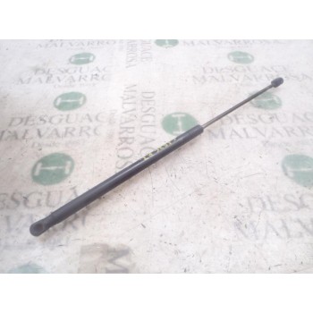 AMORTIGUADORES MALETERO / PORTON 