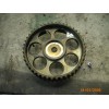 Recambio de polea arbol levas para opel astra g berlina comfort referencia OEM IAM   