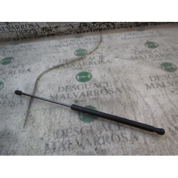 AMORTIGUADORES MALETERO / PORTON 