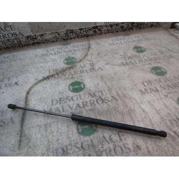 AMORTIGUADORES MALETERO / PORTON 