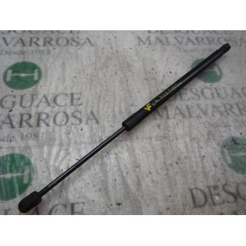 AMORTIGUADORES MALETERO / PORTON 