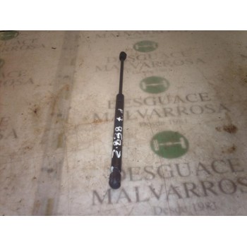 AMORTIGUADORES MALETERO / PORTON 