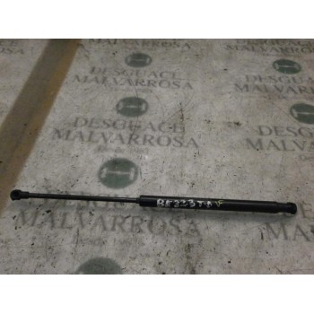 AMORTIGUADORES MALETERO / PORTON 