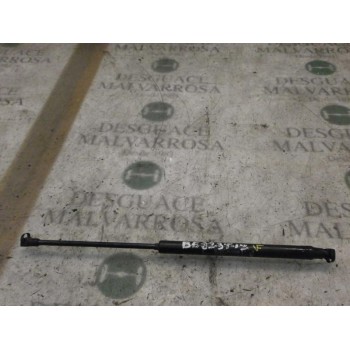 AMORTIGUADORES MALETERO / PORTON 