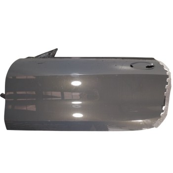 PUERTA DELANTERA IZQUIERDA 41007455091 