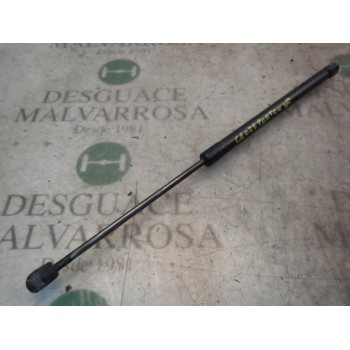 AMORTIGUADORES MALETERO / PORTON 