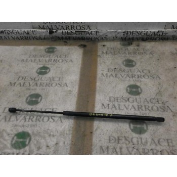 AMORTIGUADORES MALETERO / PORTON 