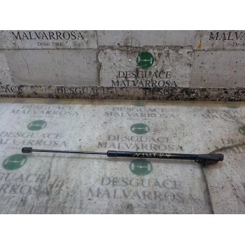 AMORTIGUADORES MALETERO / PORTON 