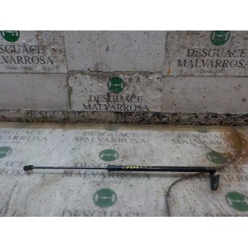 AMORTIGUADORES MALETERO / PORTON 