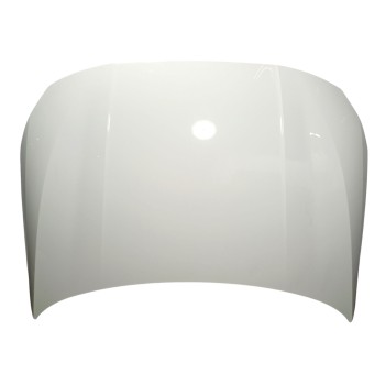 CAPOT DELANTERO 41009492428 