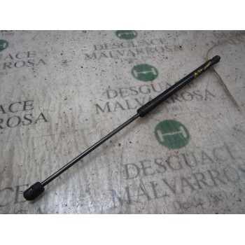 AMORTIGUADORES MALETERO / PORTON 