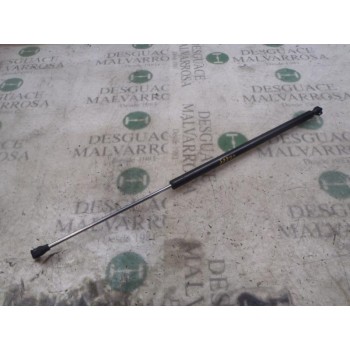 AMORTIGUADORES MALETERO / PORTON 