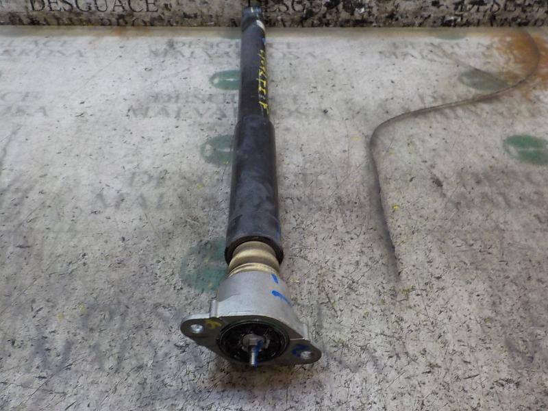 Recambio de amortiguador trasero izquierdo para ford ecosport trend referencia OEM IAM 1915807  