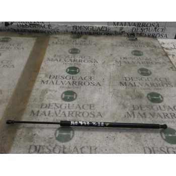 AMORTIGUADORES MALETERO / PORTON 