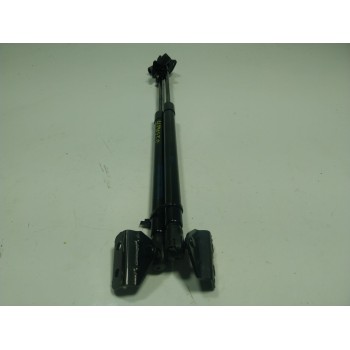 AMORTIGUADORES MALETERO / PORTON 10316252 