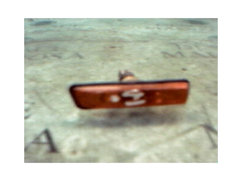 Recambio de piloto lateral izquierdo para bmw serie 3 compacto (e36) 323ti referencia OEM IAM 63137164489  