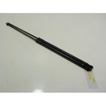 AMORTIGUADOR CAPOT 9813503380 9813503380 