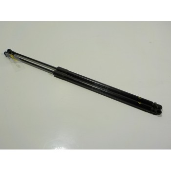 AMORTIGUADORES MALETERO / PORTON 9818962480 