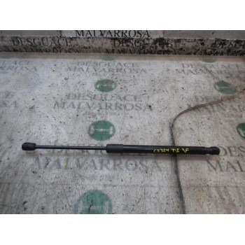 AMORTIGUADORES MALETERO / PORTON 904510001R 