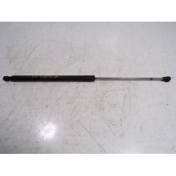 AMORTIGUADOR CAPOT 654713274R 