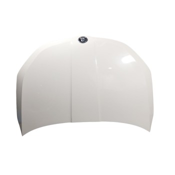 CAPOT DELANTERO 57A823031B 