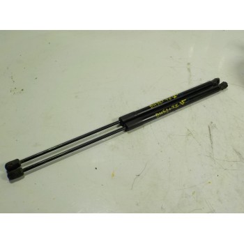 AMORTIGUADORES MALETERO / PORTON 2444429 