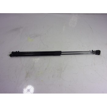 AMORTIGUADORES MALETERO / PORTON 13182537 